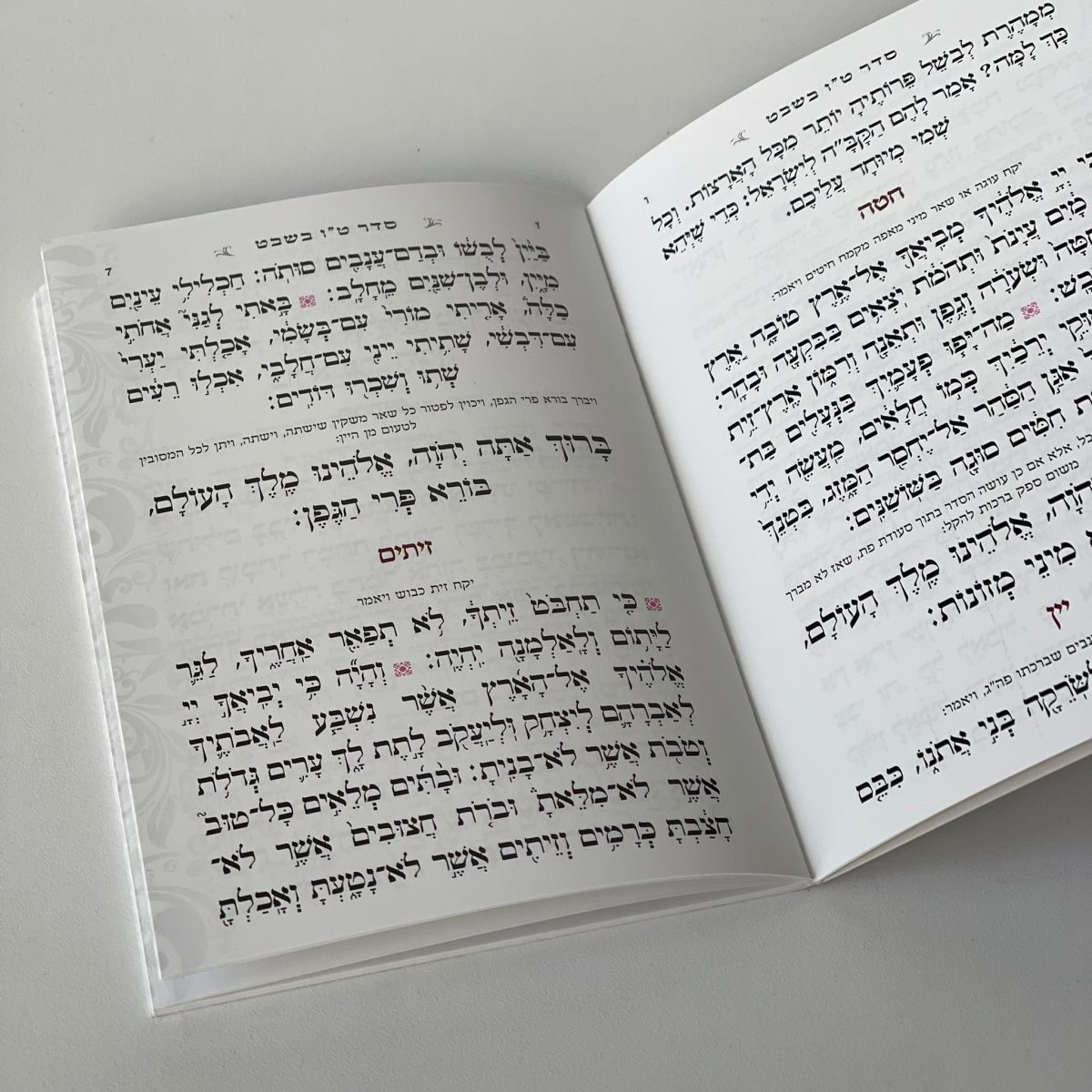 ⁦סדר ט"ו בשבט - דגם שבעת המינים⁩ – תמונה ⁦3⁩