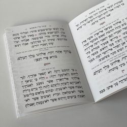 ⁦סדר ט"ו בשבט - דגם שבעת המינים⁩ – תמונה ⁦3⁩