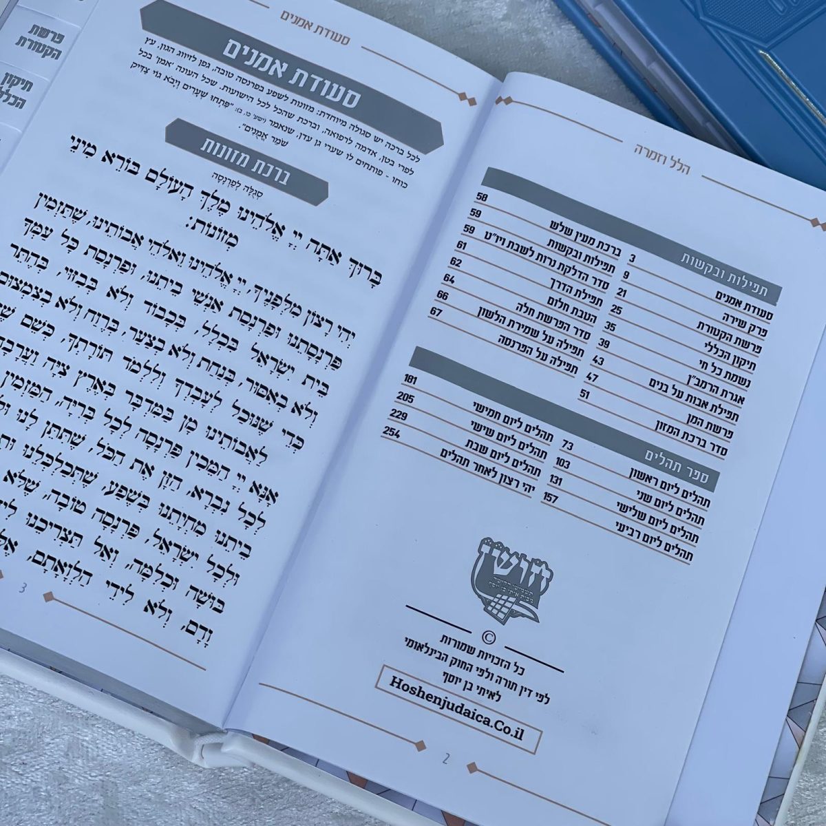 ⁦שיר ושבחה הלל וזמרה⁩ – תמונה ⁦4⁩