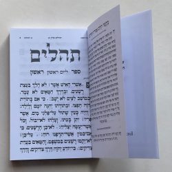 ⁦תהילים דגם עיטור דקורטיבי⁩ – תמונה ⁦3⁩