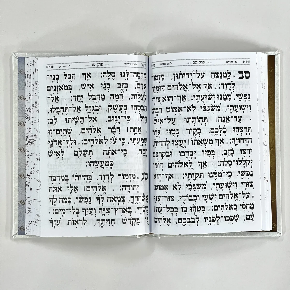 ⁦תהילים מעור אמיתי - דגם נבל⁩ – תמונה ⁦2⁩