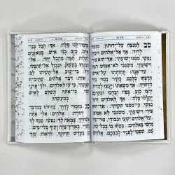 ⁦תהילים מעור אמיתי - דגם נבל⁩ – תמונה ⁦2⁩