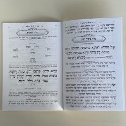 ⁦הגדה של פסח - דגם מסגרת L⁩ – תמונה ⁦3⁩