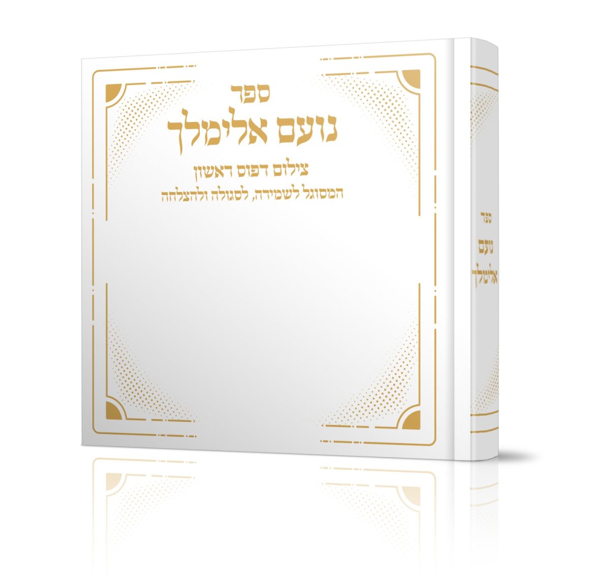 ⁦נועם אלימלך⁩ – תמונה ⁦1⁩