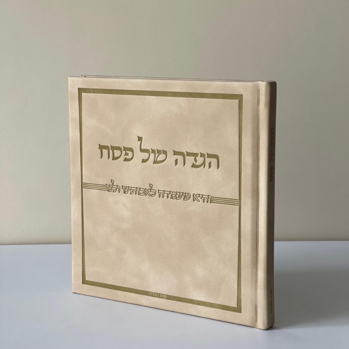 ⁦הגדה של פסח דמוי עור⁩ – תמונה ⁦1⁩