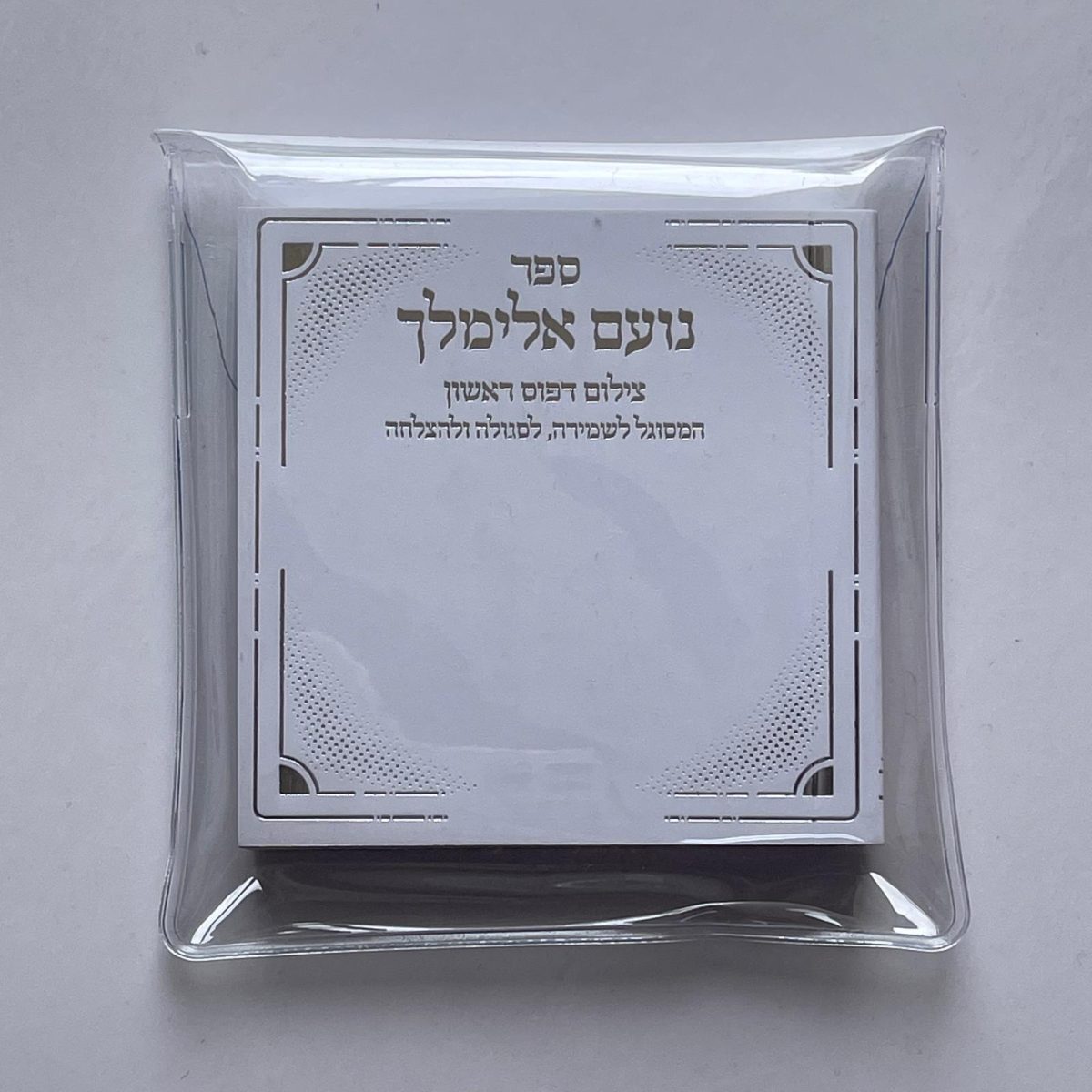 ⁦נועם אלימלך⁩ – תמונה ⁦2⁩