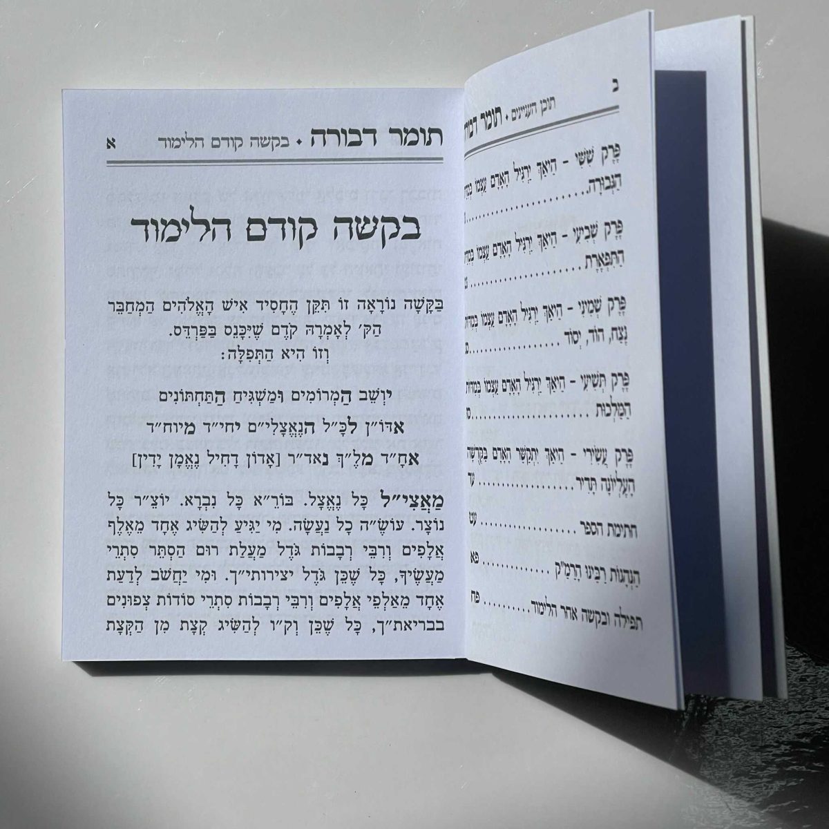 ⁦תומר דבורה⁩ – תמונה ⁦2⁩