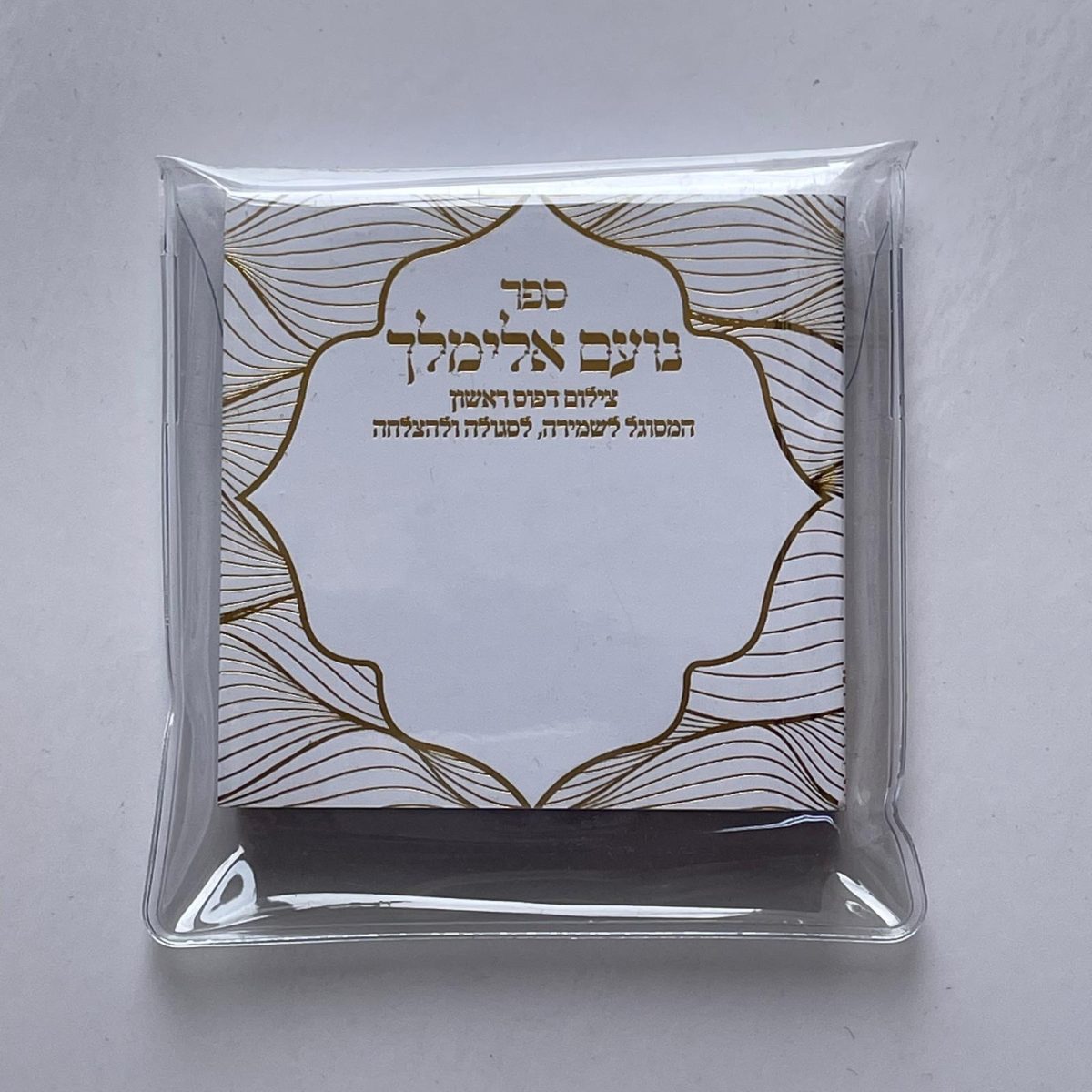 ⁦נועם אלימלך לשמירה⁩ – תמונה ⁦3⁩