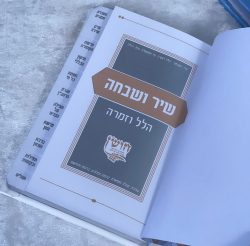 ⁦שיר ושבחה הלל וזמרה⁩ – תמונה ⁦3⁩