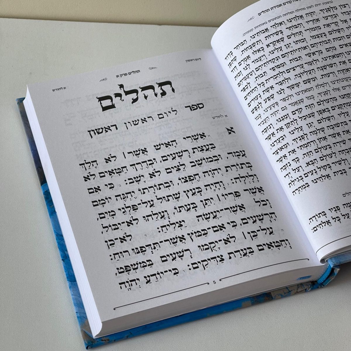 ⁦תהילים עם ישראל חי⁩ – תמונה ⁦3⁩