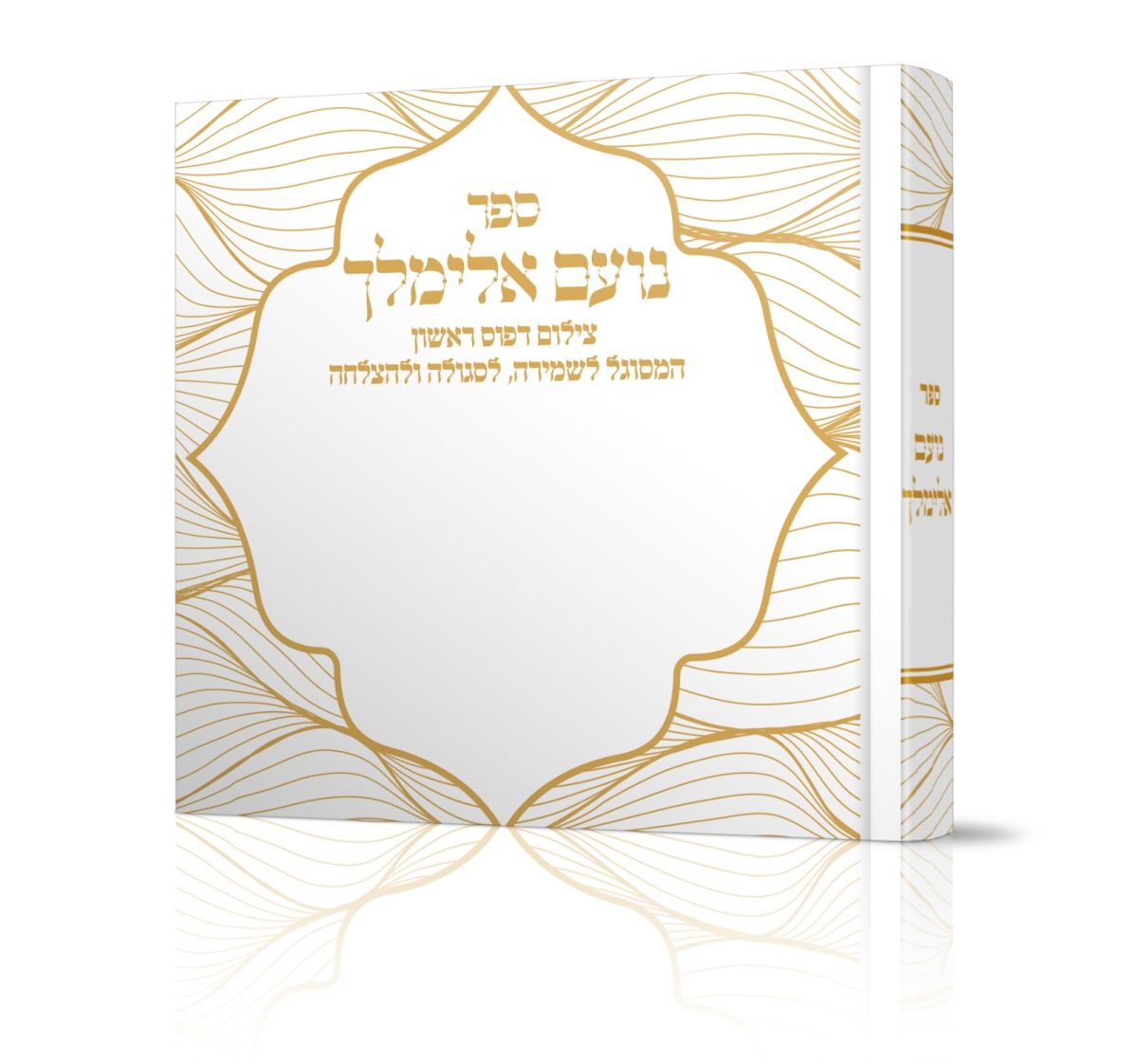 ⁦נועם אלימלך לשמירה⁩ – תמונה ⁦1⁩