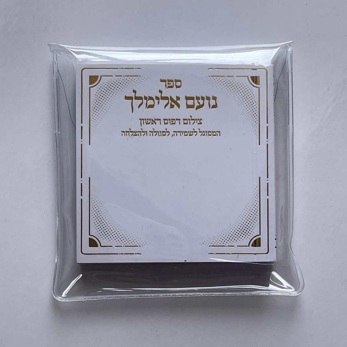 ⁦נועם אלימלך⁩ – תמונה ⁦3⁩