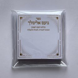 ⁦נועם אלימלך⁩ – תמונה ⁦3⁩
