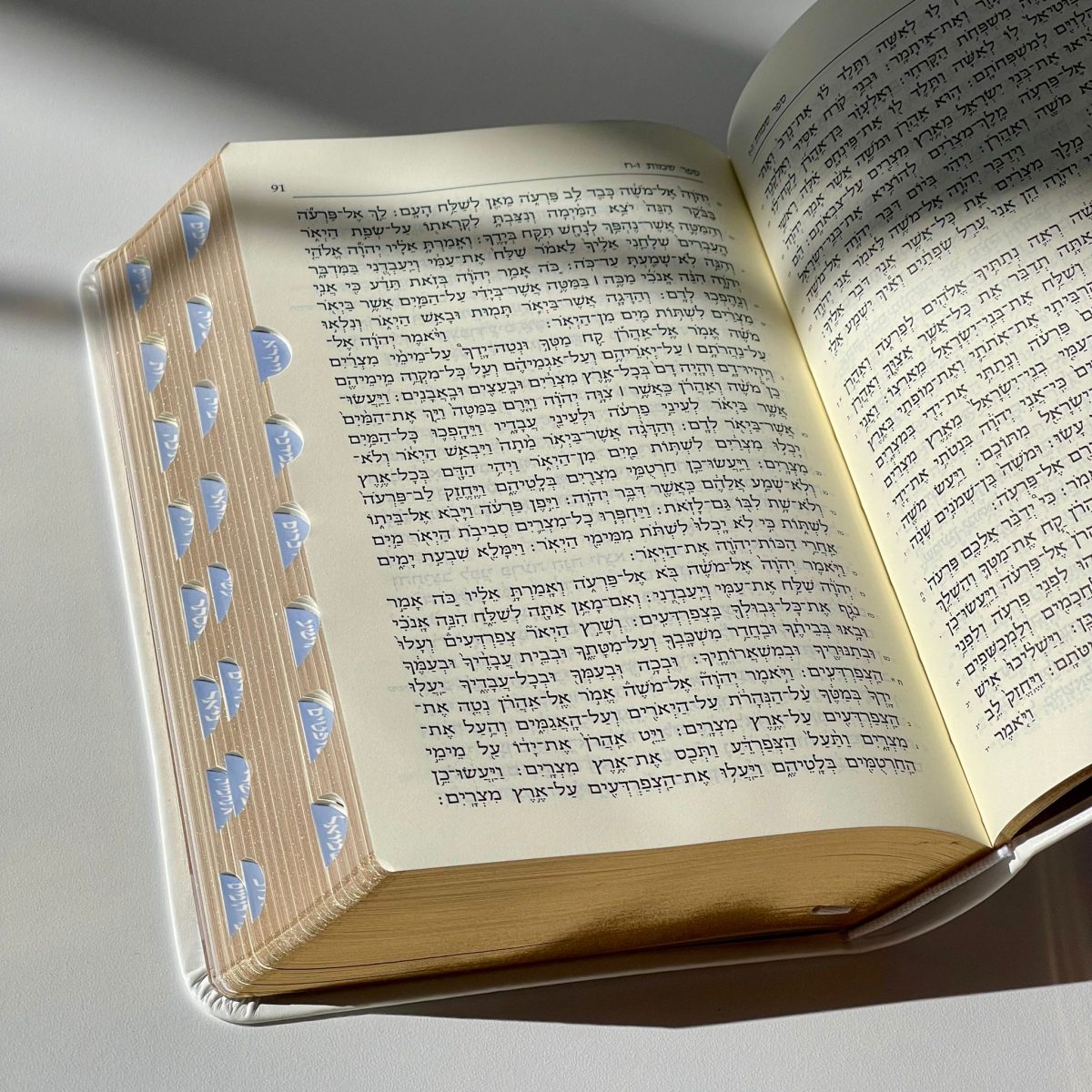 ⁦תנ"ך מפואר⁩ – תמונה ⁦3⁩