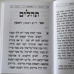 ⁦תהילים דגם מסגרת לבן⁩ – תמונה ⁦5⁩