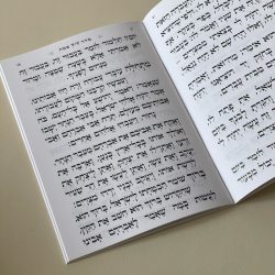 ⁦הגדה של פסח - דגם עיטורים⁩ – תמונה ⁦5⁩