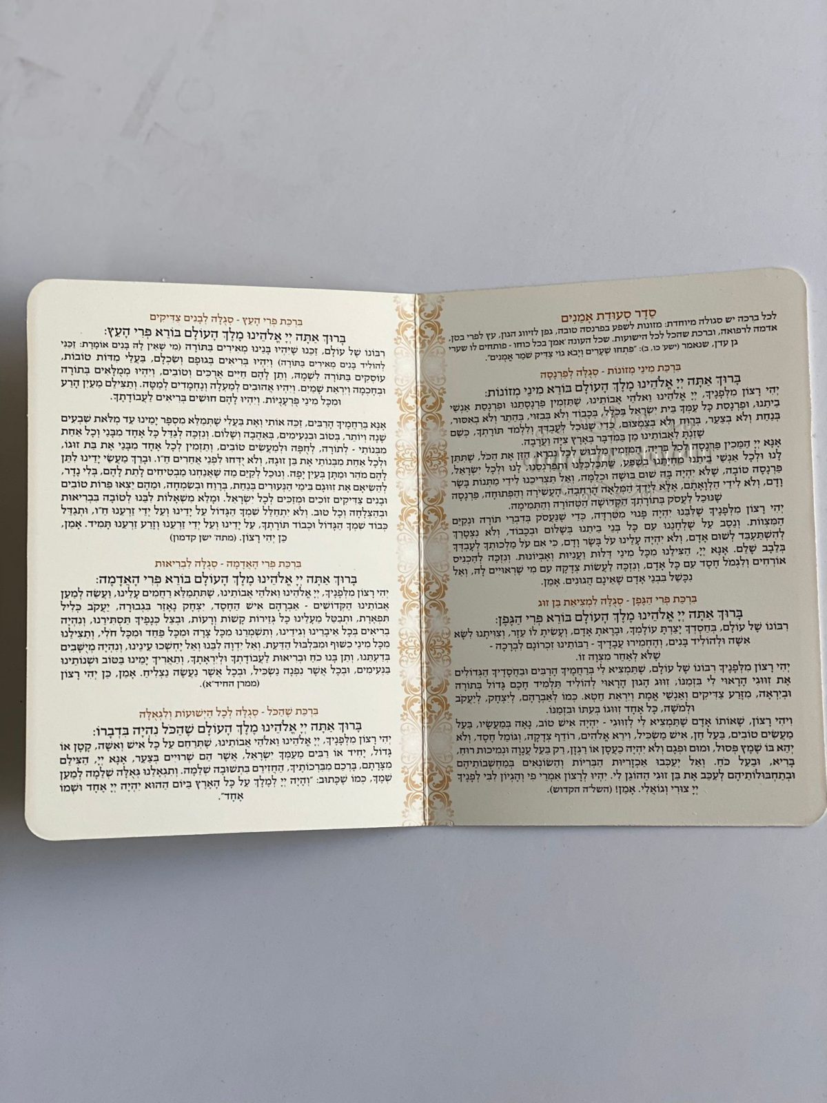 ⁦סדר סעודת אמנים מפואר⁩ – תמונה ⁦3⁩