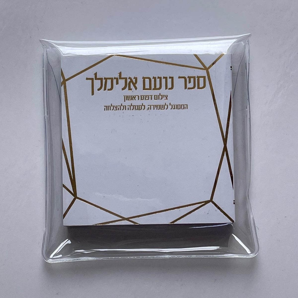 ⁦נועם אלימלך⁩ – תמונה ⁦3⁩