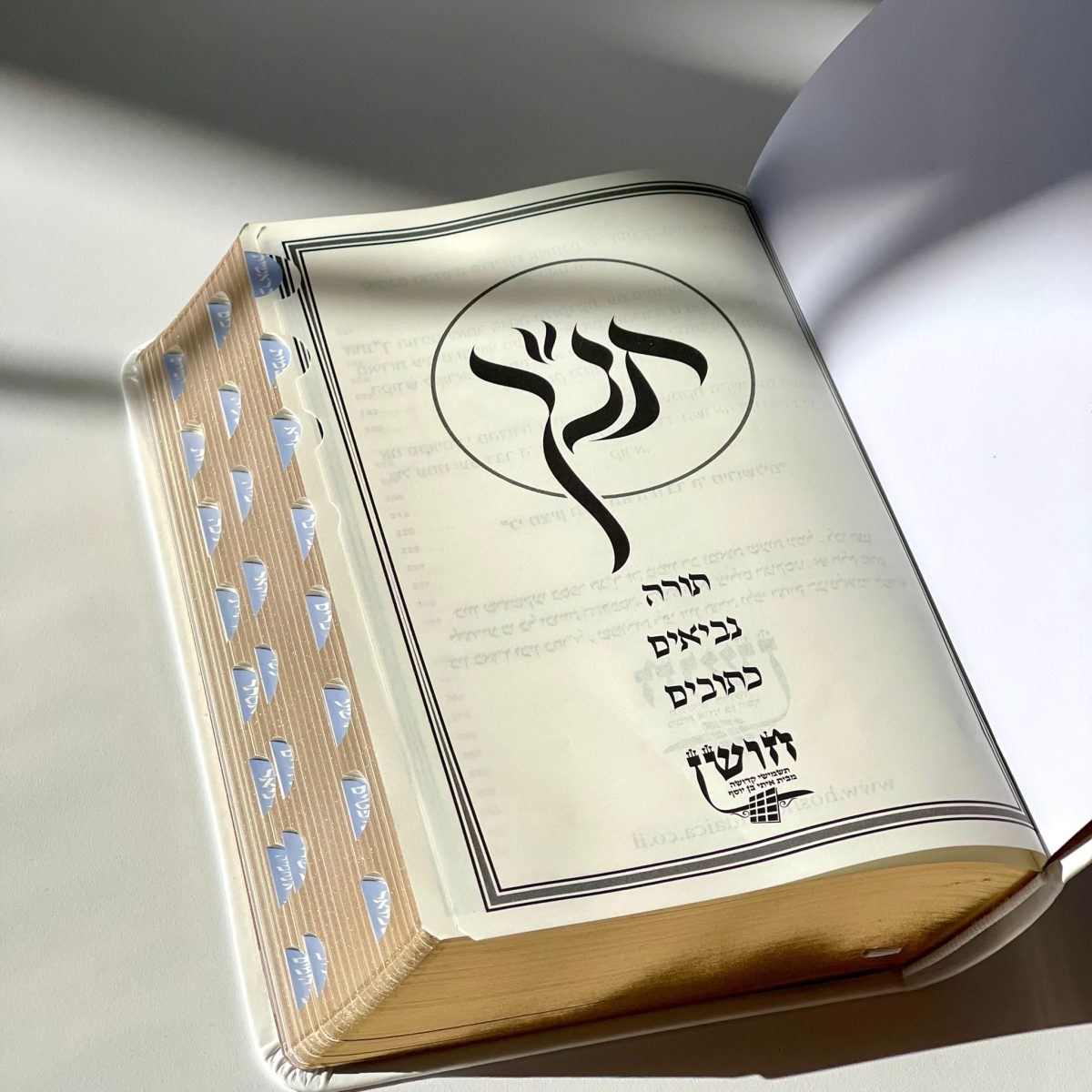 ⁦תנ"ך מפואר⁩ – תמונה ⁦2⁩