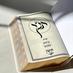 ⁦תנ"ך מפואר⁩ – תמונה ⁦2⁩