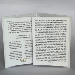 ⁦סדר הבדלה⁩ – תמונה ⁦3⁩