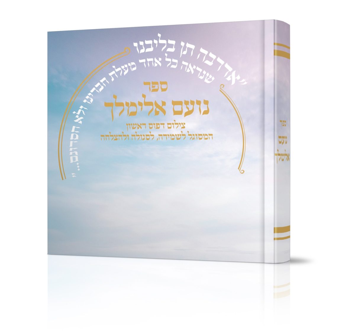 ⁦נועם אלימלך⁩ – תמונה ⁦1⁩