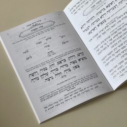 ⁦הגדה של פסח - דגם עיטורים⁩ – תמונה ⁦4⁩