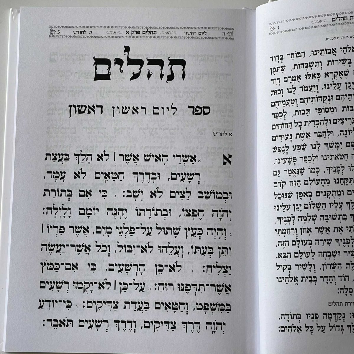 ⁦תהילים דגם היכל לבן⁩ – תמונה ⁦4⁩