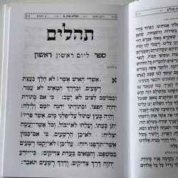 ⁦תהילים דגם היכל לבן⁩ – תמונה ⁦4⁩