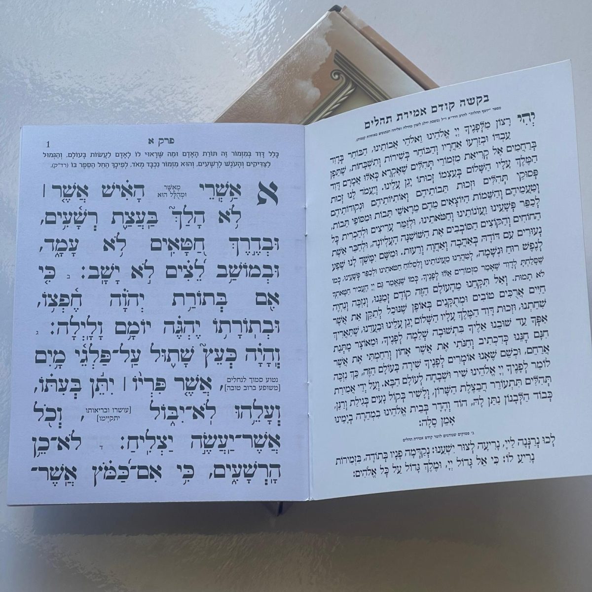 ⁦תהילים המחולק - "כוונת הלב"⁩ – תמונה ⁦2⁩