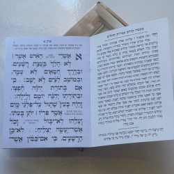 ⁦תהילים המחולק - "כוונת הלב"⁩ – תמונה ⁦2⁩