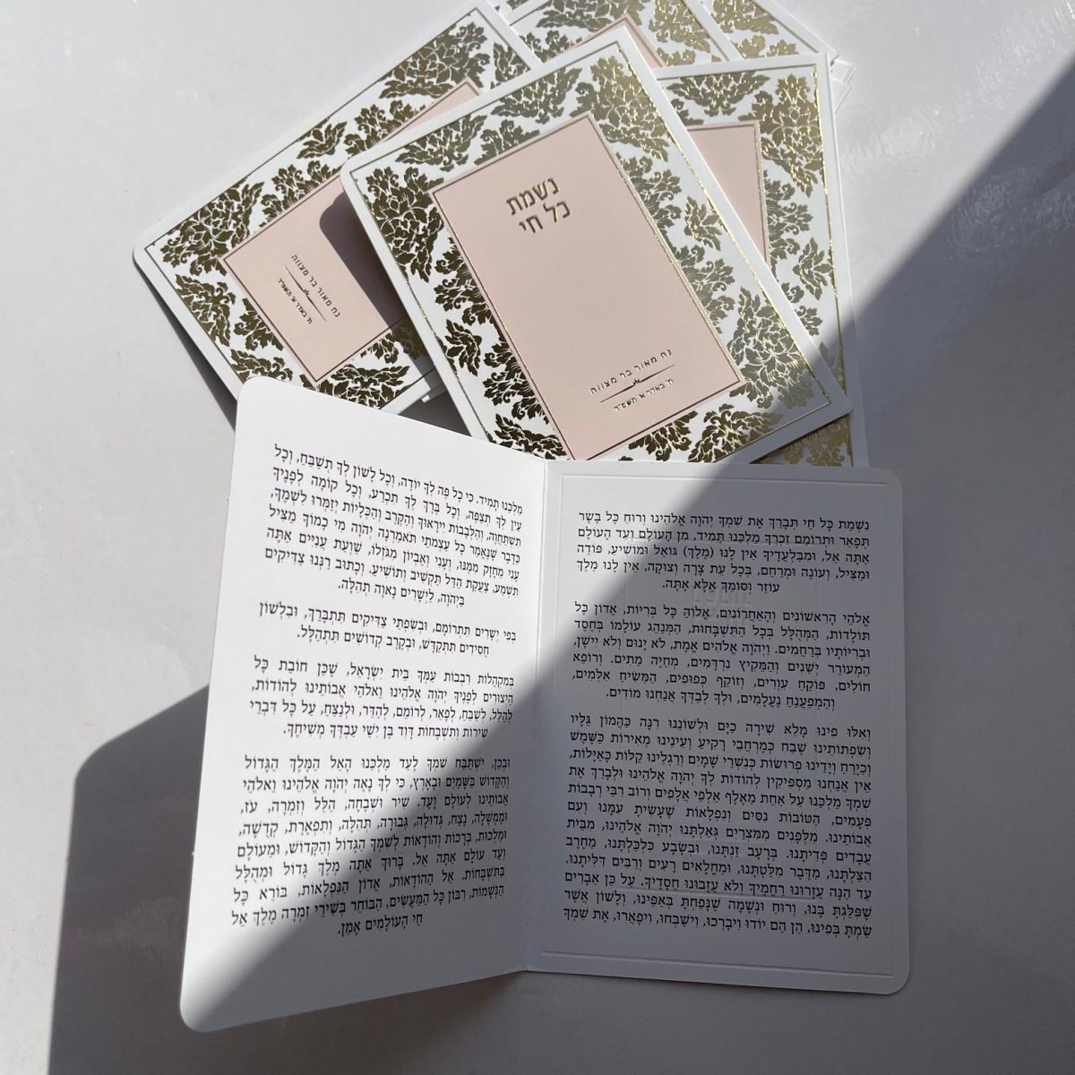 ⁦נשמת כל חי⁩ – תמונה ⁦2⁩