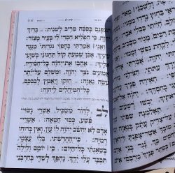 ⁦תהילים ורוד גדול⁩ – תמונה ⁦2⁩